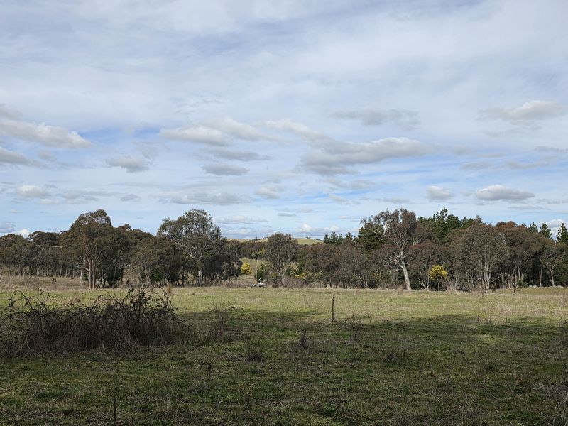 Ikara site, 18 August 2026