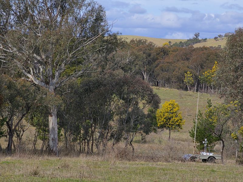 Ikara site, 18 August 2026